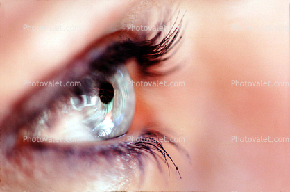 Eyeball, Iris, Lens, Pupil, Eyelash, Cornea, Sclera, Female, Woman