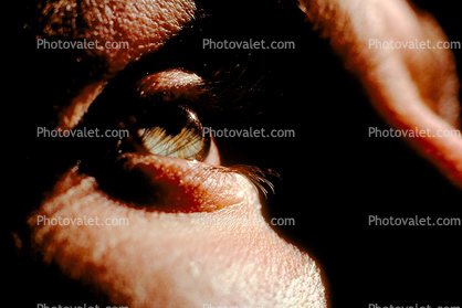 Eyeball, Iris, Lens, Pupil, Eyelash, Cornea, Sclera, Man, Male, profile