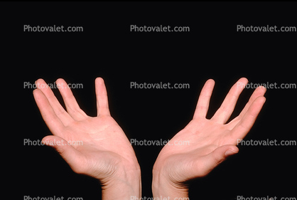 Hands, Arms, fingers
