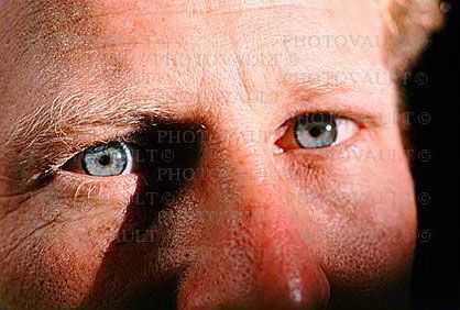 Eyes, Eyelash, skin, eyebrow, Eyeball, Iris, Lens, Pupil, Cornea, Sclera, Man, Male