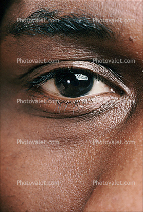 Eyeball, Iris, Lens, Pupil, Eyelash, Cornea, Sclera, skin, man, male, eyebrow