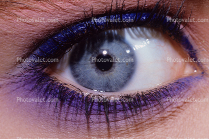 Woman, Female, Eyeball, Iris, Lens, Pupil, Cornea, Sclera, Eyelash