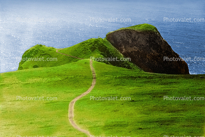 path, trail, nature, natural, clifss, rocks, field, coastline, coastal, coast, Pacific Ocean, portfolio