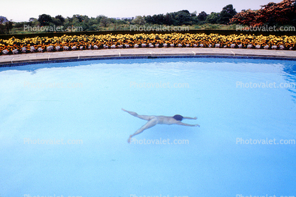 Swimming Pool, Port Washington, Long Island, New York
