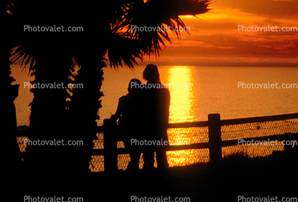 Couple with Palm Trees, Santa Monica Palisades