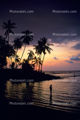 Hawaii, Palm Trees, Sunset