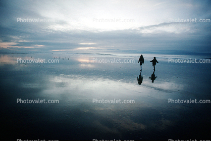 Beach, Pacific Ocean, calm, reflection, peaceful, Equanimity