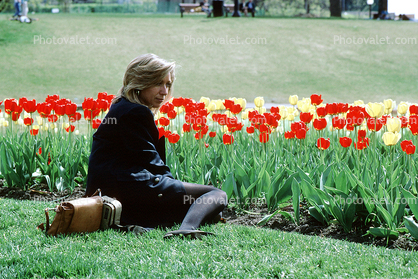 tulips, Woman Being in Thought