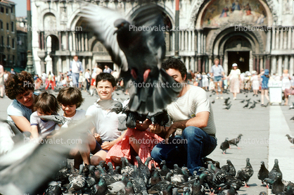 pigeons, Saint Marks Square, Venice