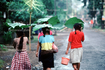 Leaf Umbrellas, Ubud, Bali
