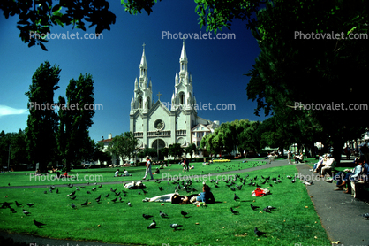 People, pigeons, church, Washington Square, North-Beach