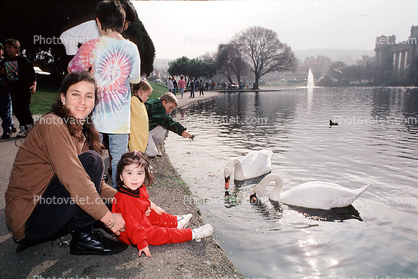 Smiling lady, Girl, Child, Toddler, pond, swan