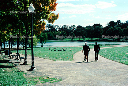 Men Walking on a path, lake, pond, park, trees