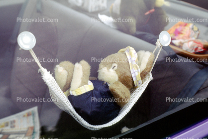 Teddy Bear in a Hammock, Car