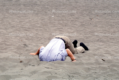Head Buried in the Sand, Bury Your Head In the Sand, Businessman