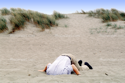 Head Buried in the Sand, Bury Your Head In the Sand, Businessman