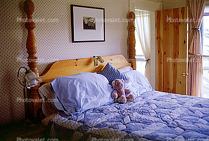 Teddy Bear, Pillows, Blanket