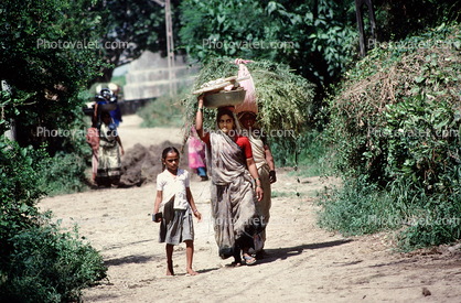 Woman Carrying a bushel, Boral Village, Gujarat