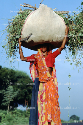 Woman Carrying a bushel