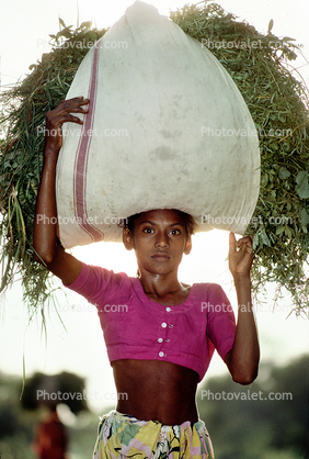 Girl Carrying a bushel, Bayad Taluka, Gujarat