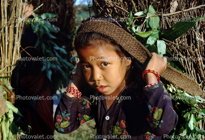 Girl Carrying Firewood, Desertification, wood bundle, twigs, Child-Labor, deforestation