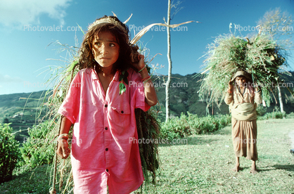 Girl carrying vegetation, woman, deforestation, desertification
