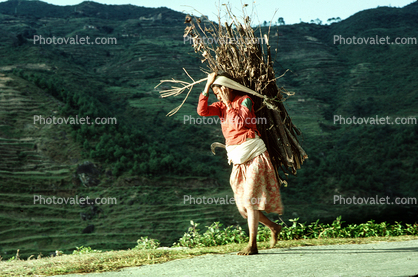 Woman carrying heavy load, barefoot, barefeet, deforestation, desertification