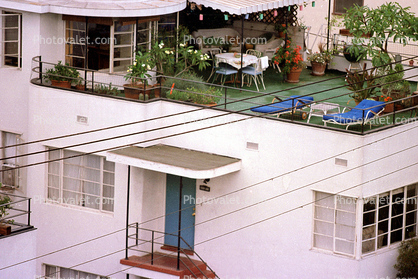 rooftop garden, lounge chairs