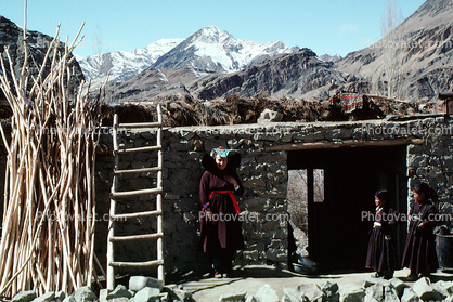 Ladder, Rock house, Thatched Roof House, Home, Grass Roof, Building, Woman, Himalayas, kurbuchan-A, Khalsi Tehsil, Leh Ladakh District, Jammu & Kashmir State , Sod