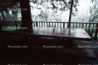 Table, wet misty day, trees