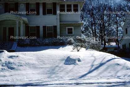 Snow, sidewalk, snow, stump, home, house