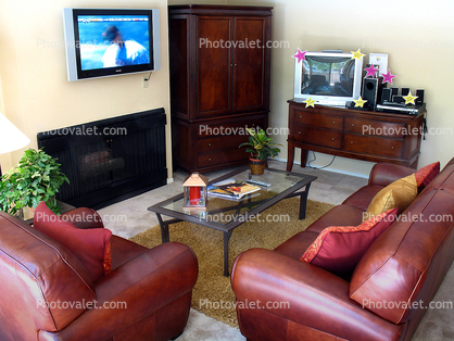 Flat Screen TV, Fireplace, Sofa, Coffee Table, Plants, Rug