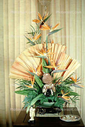 Bird-0f-Paradise Flower, Fans, Flower Arrangement
