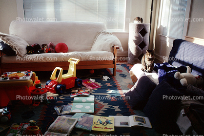 Sofa, cat, toys, books, rug