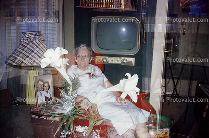 Television, grandma, granmother, flower, 1950s