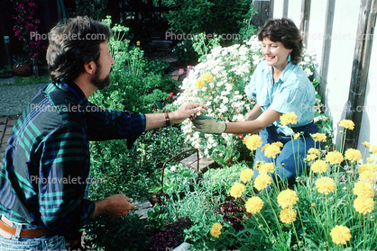 Couple working in the garden, Woman, Man
