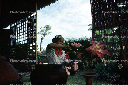 Lotus Flower, Woman, Bali