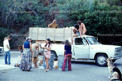 German Shepard Dog, People, Trash, Pickup Truck