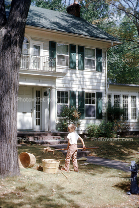Boy raking leaves, home, house