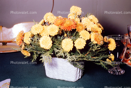 ugly flower arrangement, November 1955