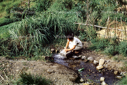 Woman Washing Clothes in a Stream, April 1952, 1950s
