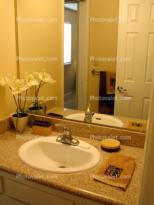Sink, Mirror, Faucet, Tower, Flower