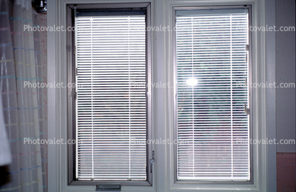 Window, Levolor Blinds