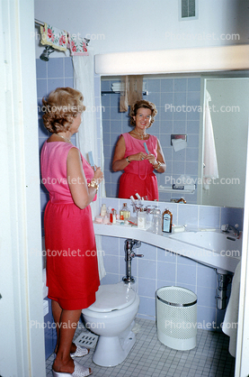 Woman, Mirror, Toilet, Waste Basket, Mirror