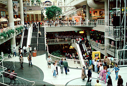Shoppers, Crowds, Escalator, Eatons Shopping Center, Mall