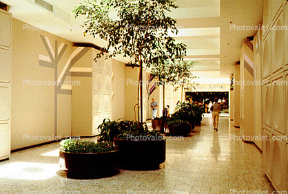 Stoneridge, Shopping Mall, interior, inside, indoors, shoppers, trees, tile floor, 1980s