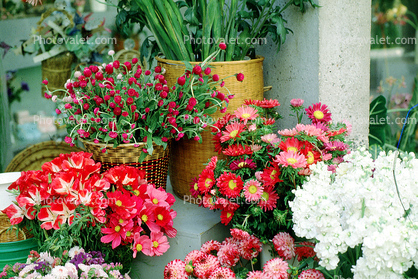 Flower Stand, floral