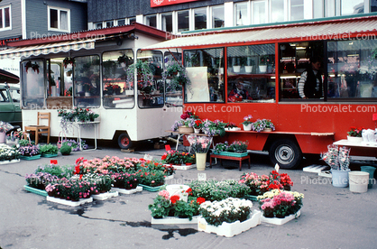 Flower Stand, trailer, Norway