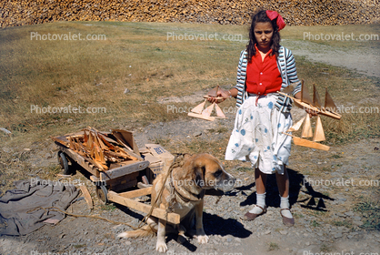 Girl Selling Sailboat Curious, toys, Dog Pulling Wagon