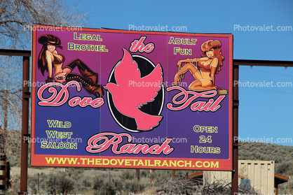 Dove Tail Ranch